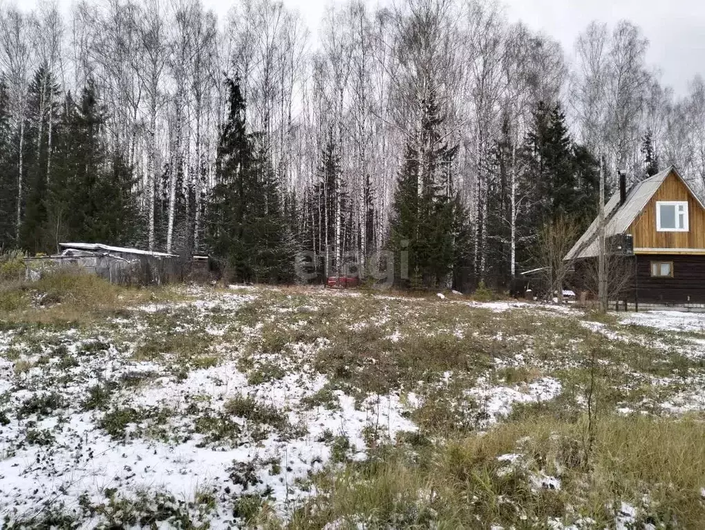 Участок в Свердловская область, Нижний Тагил муниципальный округ, ... - Фото 1