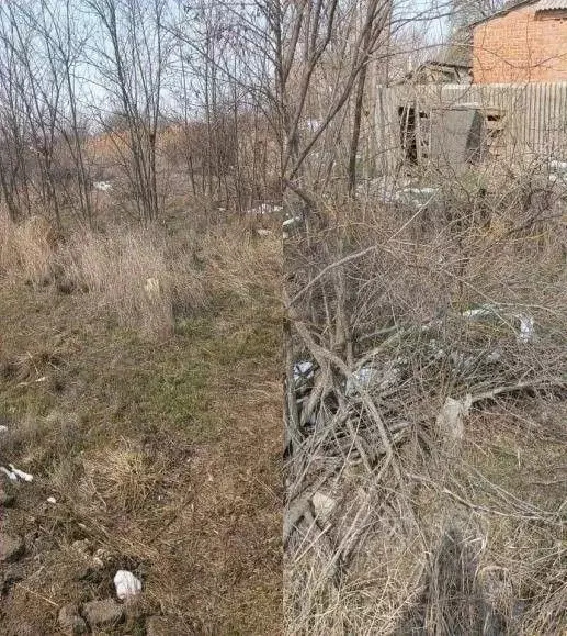 Участок в Краснодарский край, Щербиновский район, Старощербиновская ... - Фото 1