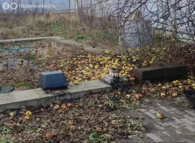 Участок в микрорайон Чкаловск, улица Лукашова (7.03 м) - Фото 1