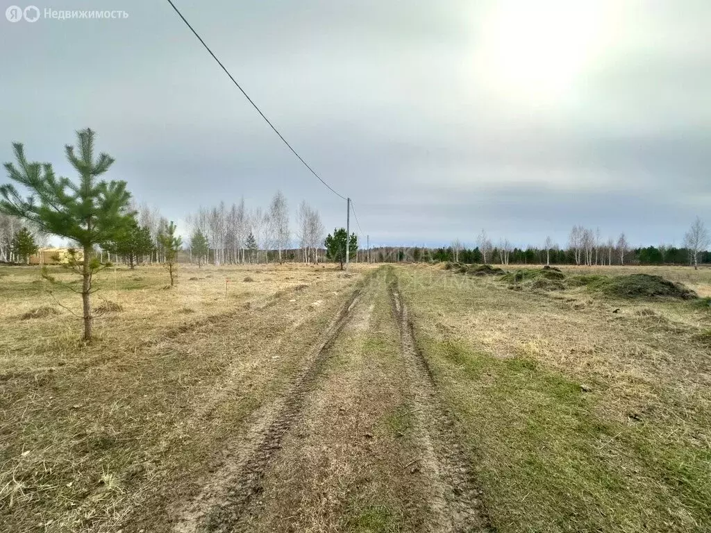 Участок в Нижнетавдинский район, садоводческий потребительский ... - Фото 1