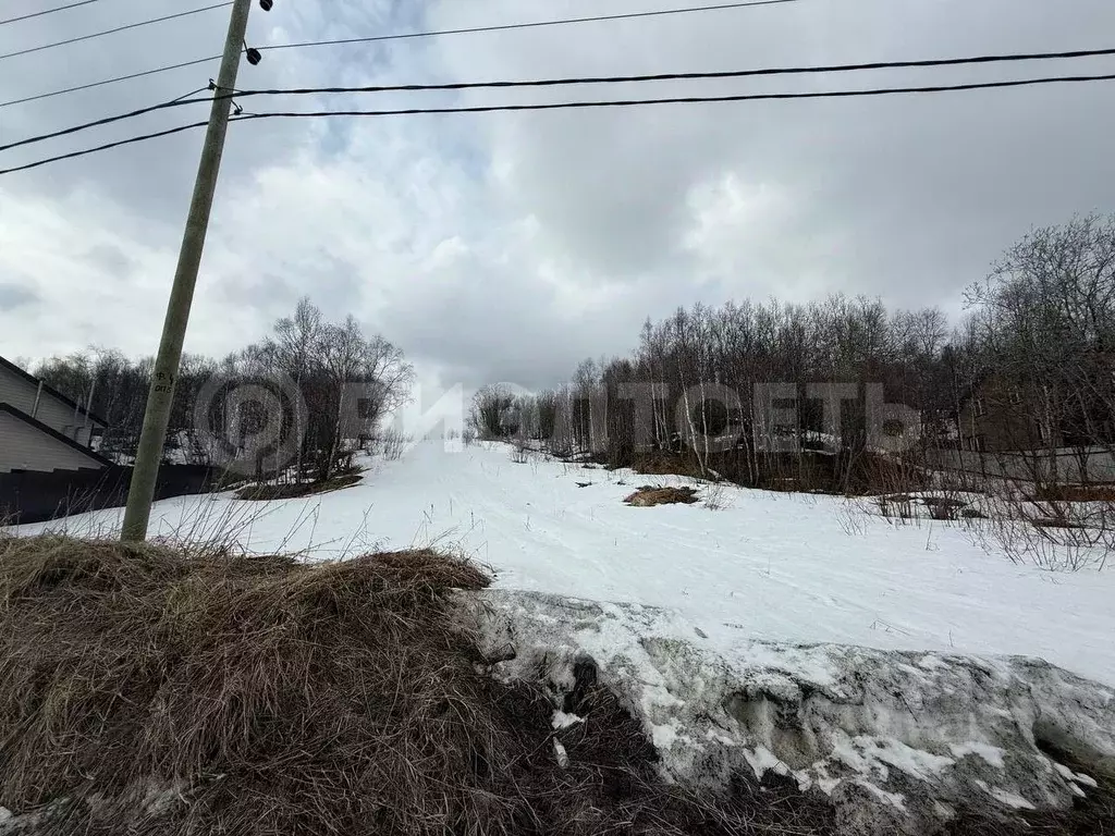 Участок в Мурманская область, Кольский район, Молочный городское ... - Фото 0