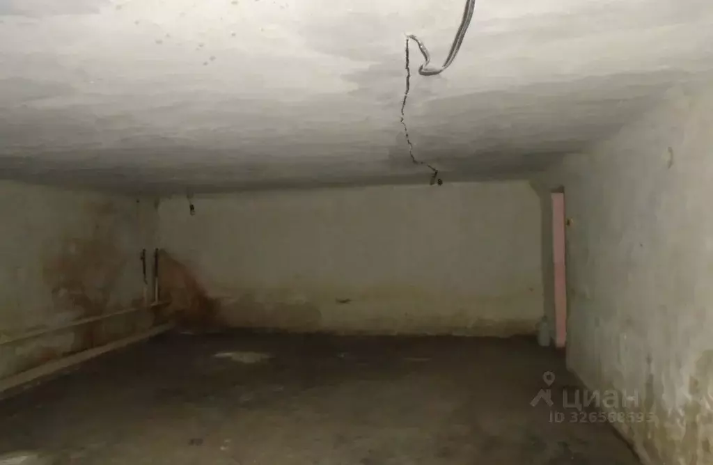 Помещение свободного назначения в Новосибирская область, Новосибирск ... - Фото 1