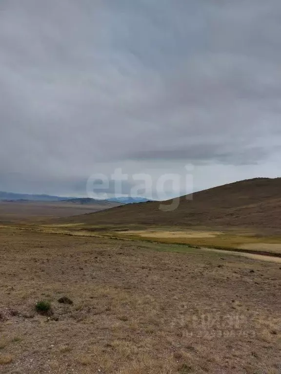Участок в Алтай, Кош-Агачский район, с. Теленгит-Сортогой  (1051.03 ... - Фото 1