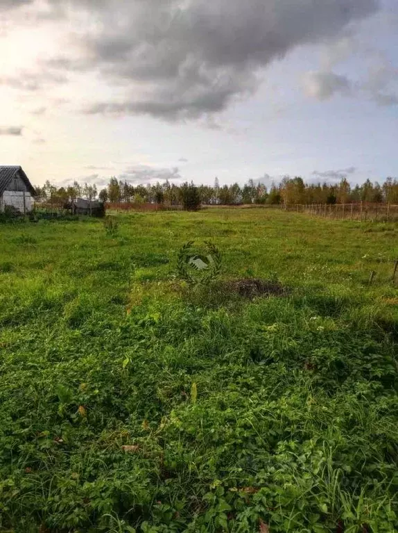 Участок в Калужская область, Дзержинский район, Совхоз имени Ленина ... - Фото 1