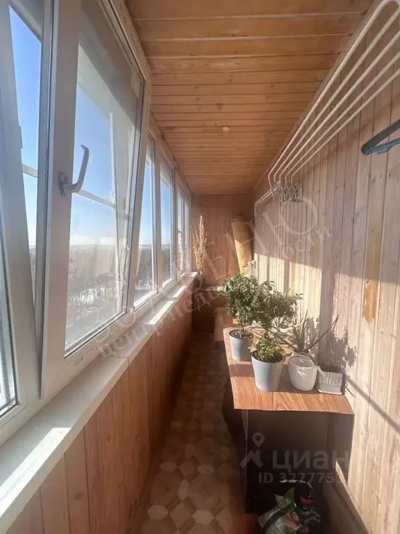 2-к кв. Воронежская область, Воронеж ул. Комарова, 11 (52.0 м) - Фото 1