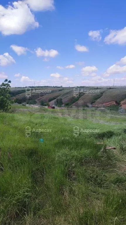 Участок 12 сот. (СНТ, ДНП) - Фото 1