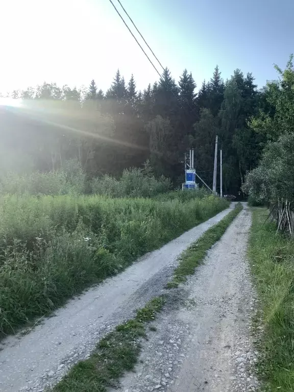 Участок в Калужская область, Ферзиковский район, Авчурино с/пос, Заря ... - Фото 2