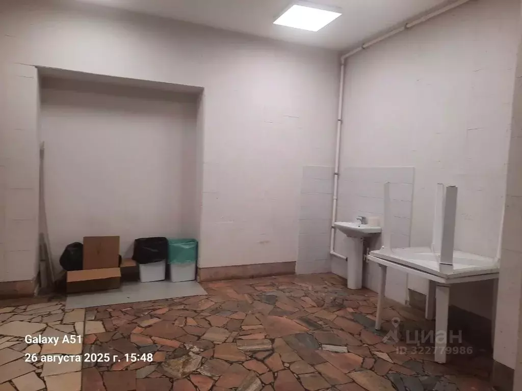 Помещение свободного назначения в Татарстан, Набережные Челны пос. ... - Фото 2