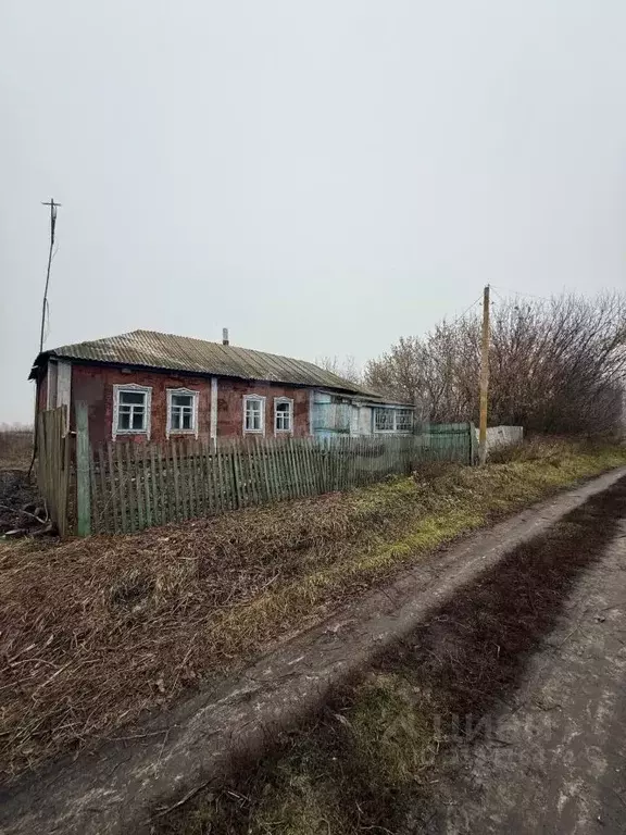 Участок в Воронежская область, Хохольский район, с. Кочетовка ... - Фото 1