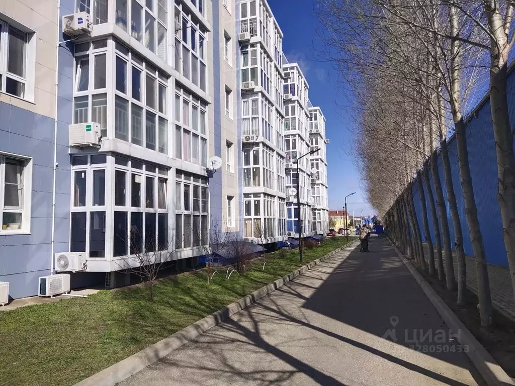 Студия Краснодарский край, Анапа Анапское ш., 6к2 (33.5 м) - Фото 1