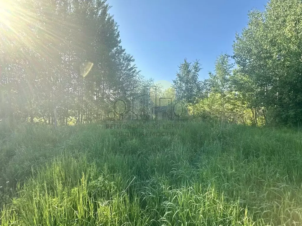 Участок в Иркутская область, Иркутск Кооператор СНТ, ул. 9-я (5.0 ... - Фото 2