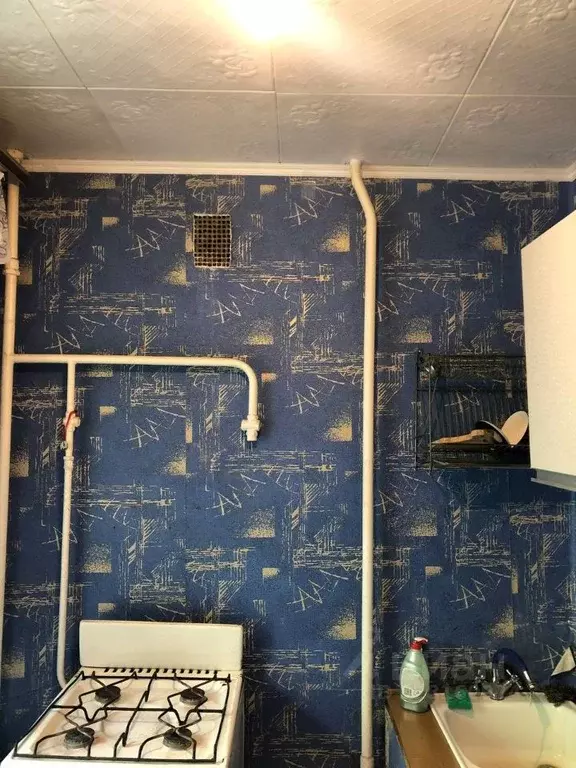 2-к кв. Нижегородская область, Балахнинский муниципальный округ, ... - Фото 2