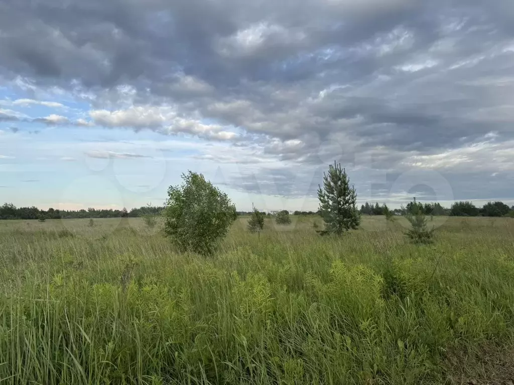 Участок 7,5 сот. (ИЖС) - Фото 0
