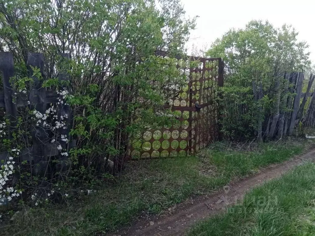Участок в Оренбургская область, Оренбургский район, Благословенский ... - Фото 0