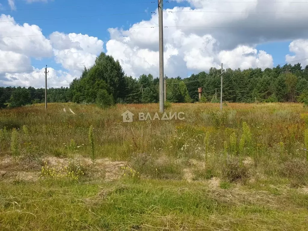 Участок в Брянская область, Выгоничский район, Утынское с/пос, с. ... - Фото 0