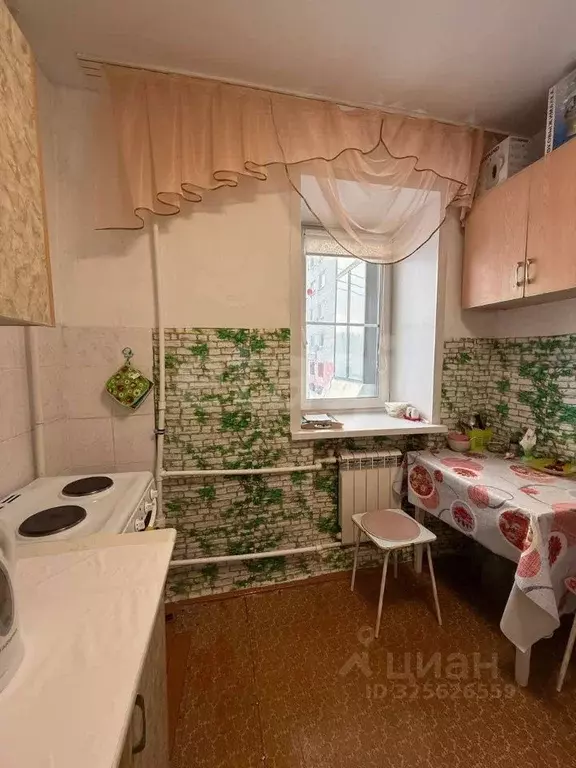 1-к кв. Курганская область, Кетовский муниципальный округ, с. Просвет ... - Фото 1