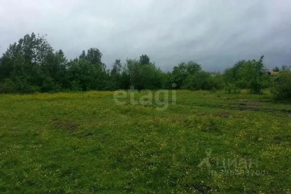 Участок в Новосибирская область, Ордынский район, с. Новопичугово ... - Фото 1