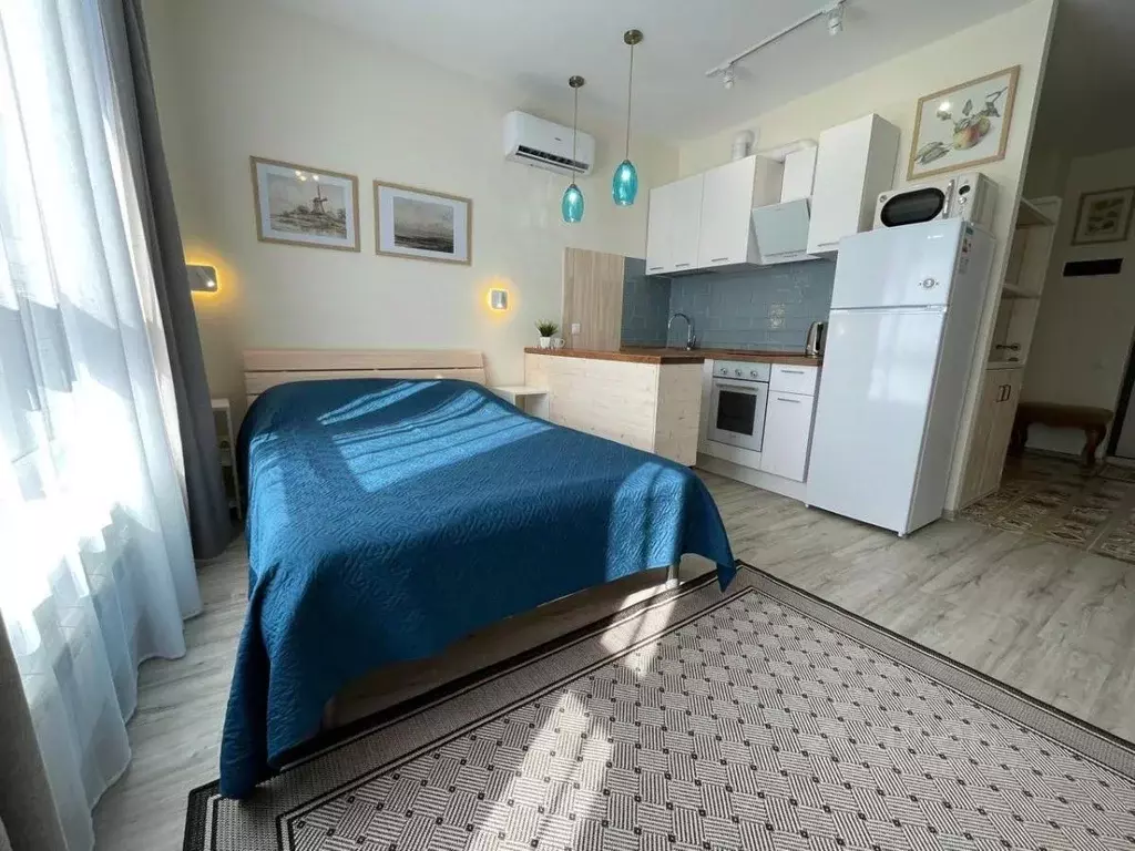 Студия Москва Дмитровское ш., 73Б (27.0 м) - Фото 1