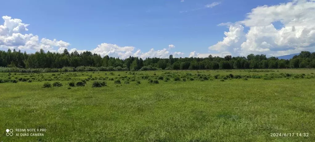 Участок в Алтай, Усть-Коксинский район, пос. Октябрьское ул. Дорожная ... - Фото 1