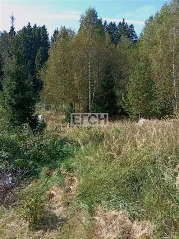 Участок в Московская область, Мытищи городской округ, д. Аббакумово, ... - Фото 0