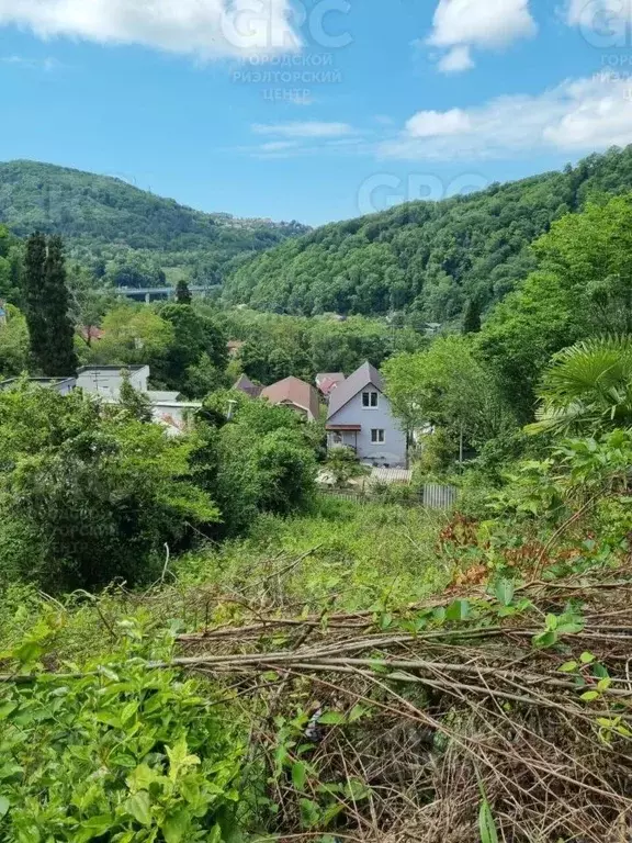 Участок в Краснодарский край, Сочи Кипарисовая ул. (3.6 сот.) - Фото 0