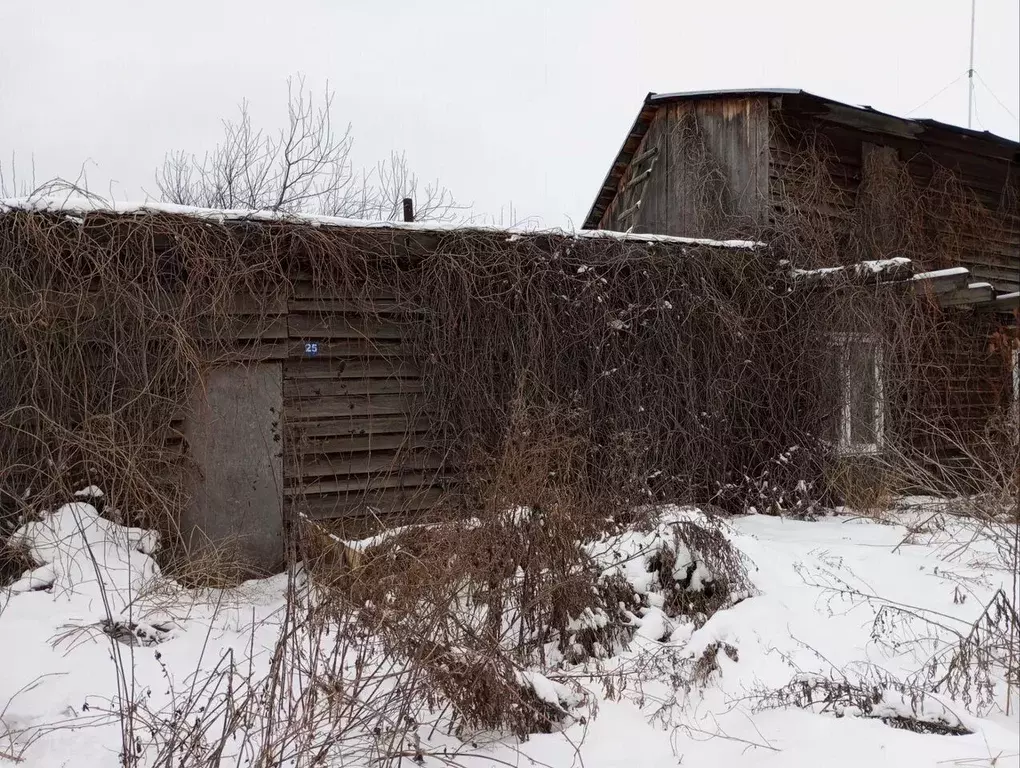 Участок в Новосибирская область, Бердск Заречное садовое товарищество, ... - Фото 1