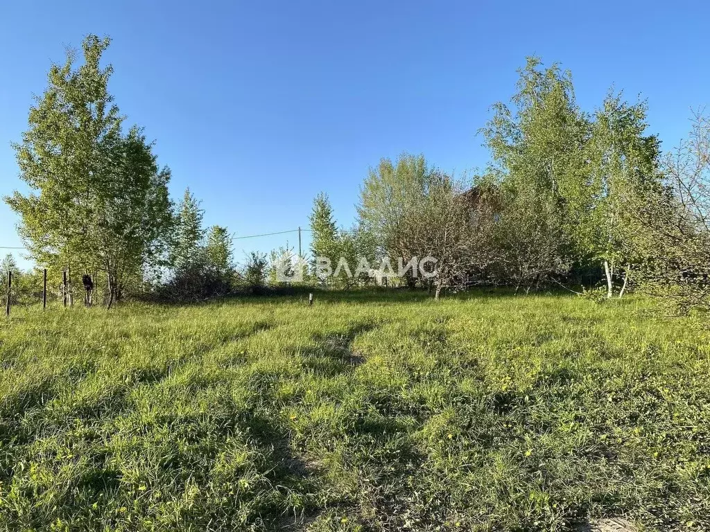 Участок в Нижегородская область, Нижний Новгород Первоцвет СНТ, 14 ... - Фото 1