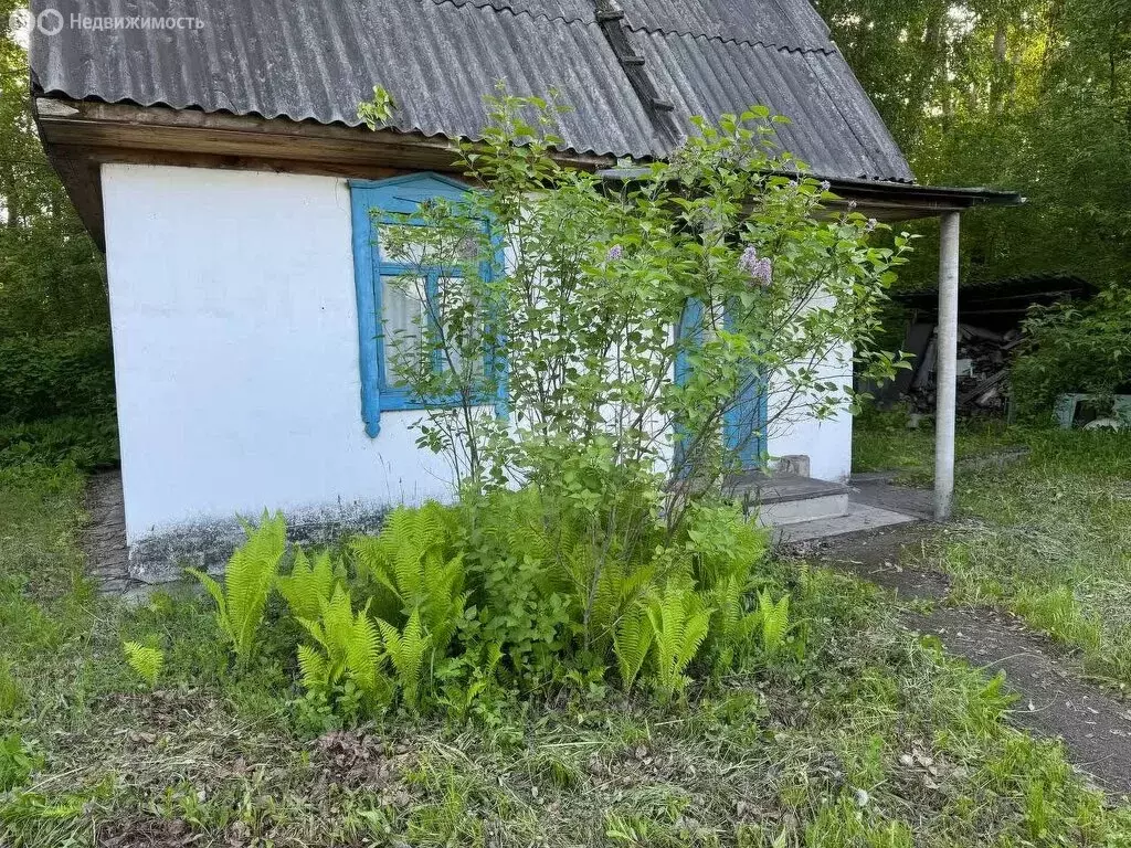 Участок в Искитимский район, Мичуринский сельсовет, товарищество ... - Фото 1