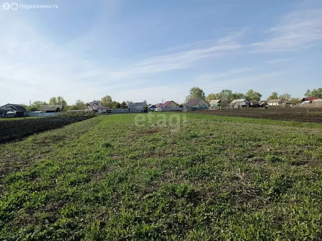 Участок в Республика Мордовия, городской округ Саранск, село Зыково ... - Фото 1
