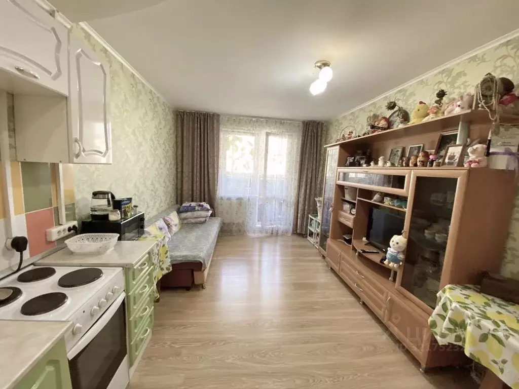 Студия Кировская область, Киров ул. Мостовицкая, 1к1 (24.5 м) - Фото 2