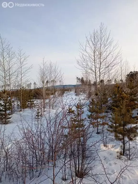 Участок в Читинский район, сельское поселение Смоленское, территория ... - Фото 1
