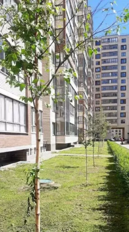 Квартира-студия: Санкт-Петербург, Пулковское шоссе, 42к9 (26.3 м) - Фото 2