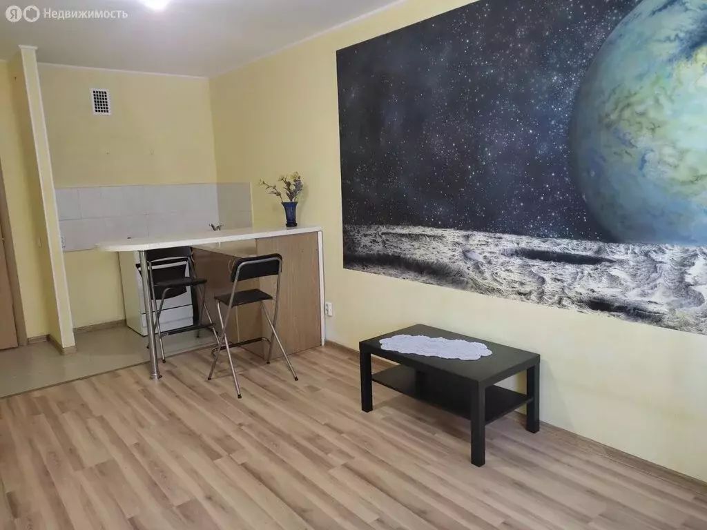 Квартира-студия: Санкт-Петербург, Ленинский проспект, 82к1 (29 м) - Фото 1