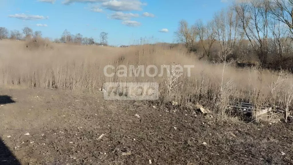 Участок в Липецкая область, Грязинский район, Большесамовецкий ... - Фото 0