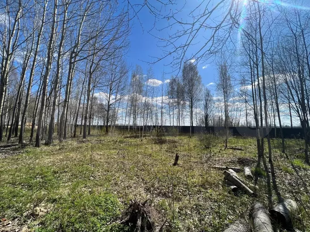 Участок 10 сот. (СНТ, ДНП) - Фото 0