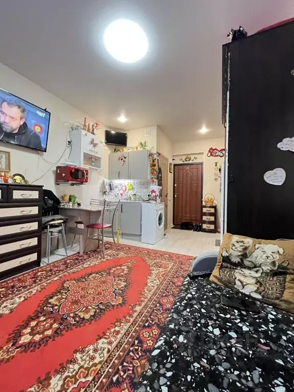 Студия Башкортостан, Уфа ул. Калинина, 57а (18.0 м) - Фото 2