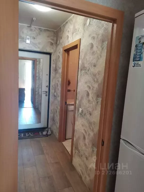 Студия Ленинградская область, Мурино Всеволожский район, просп. ... - Фото 1