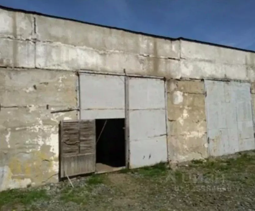 Производственное помещение в Тюменская область, с. Бердюжье ул. ... - Фото 1