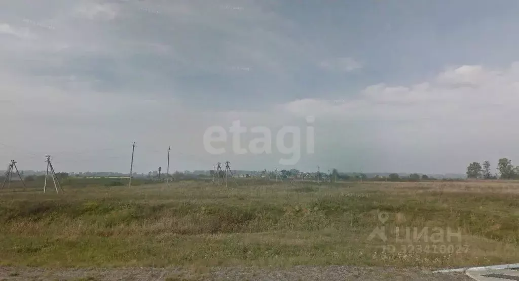 Участок в Калининградская область, Багратионовский муниципальный ... - Фото 1