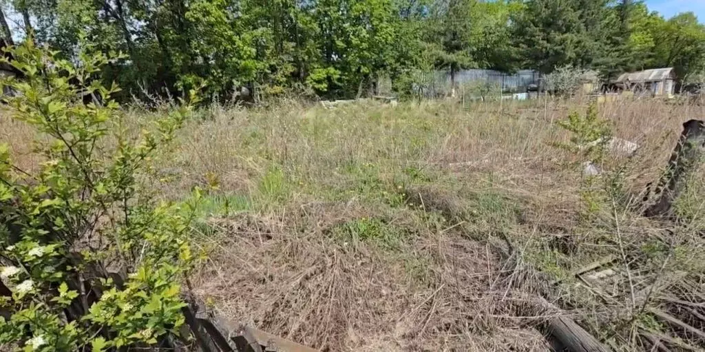 Участок в Амурская область, Благовещенск Кедровое СНТ,  (5.0 сот.) - Фото 1