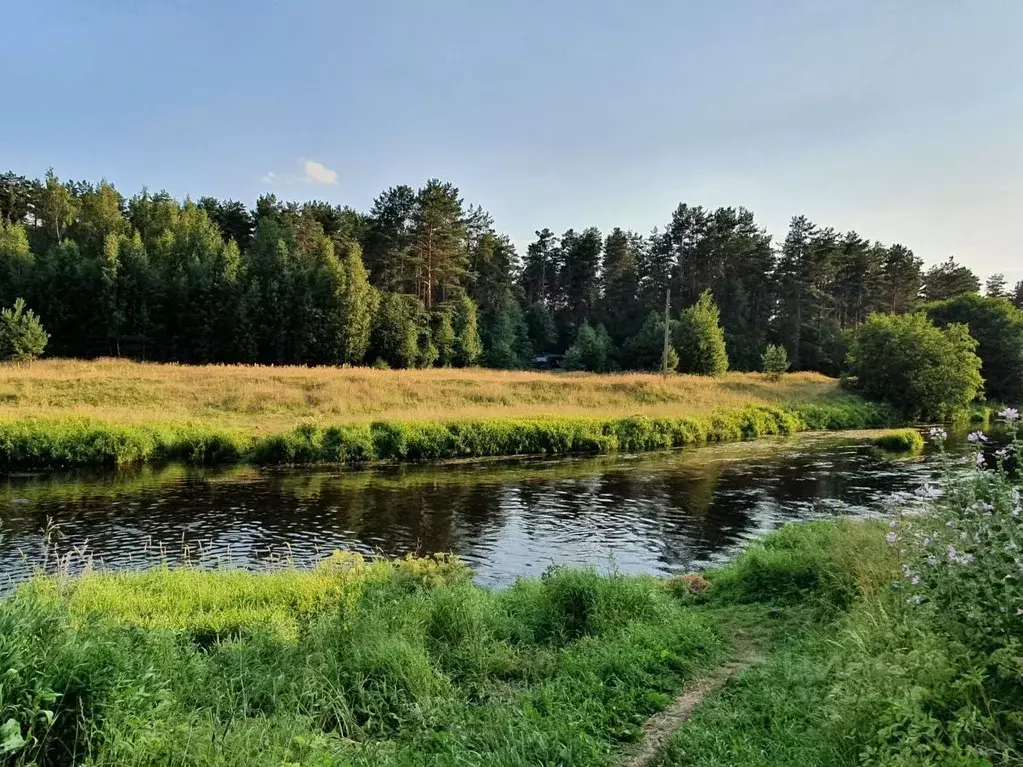 Участок в Ленинградская область, Гатчинский район, Вырица городской ... - Фото 1