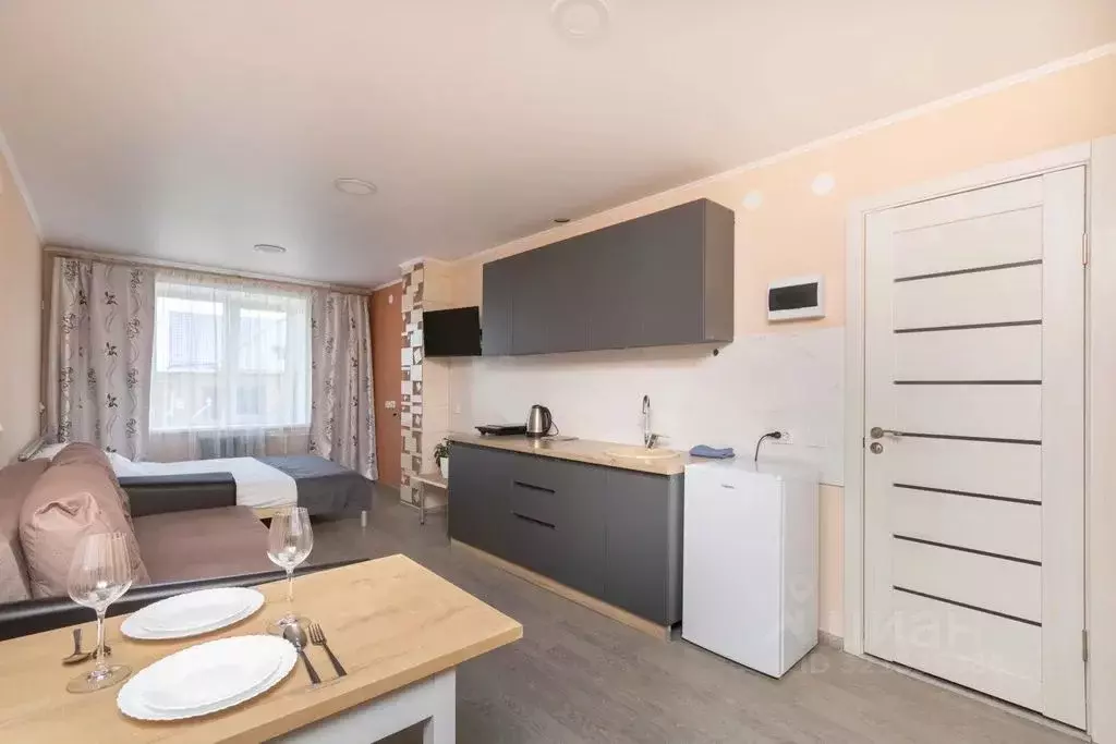 Студия Тюменская область, Ишимский муниципальный округ, Стрехнинское ... - Фото 1