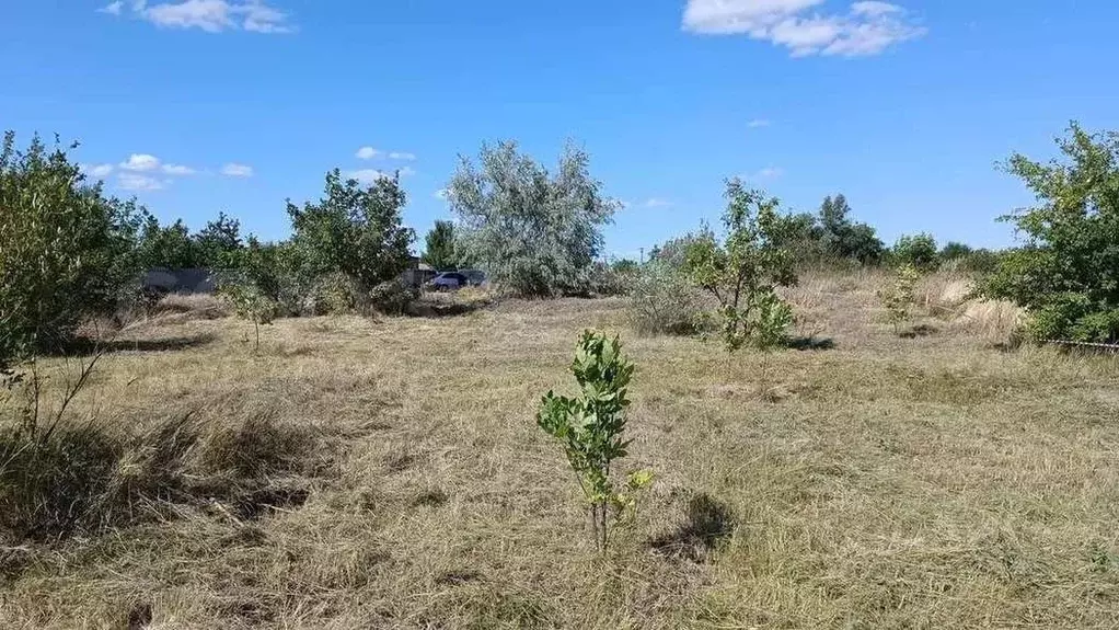 Участок в Волгоградская область, Краснослободск Среднеахтубинский ... - Фото 1