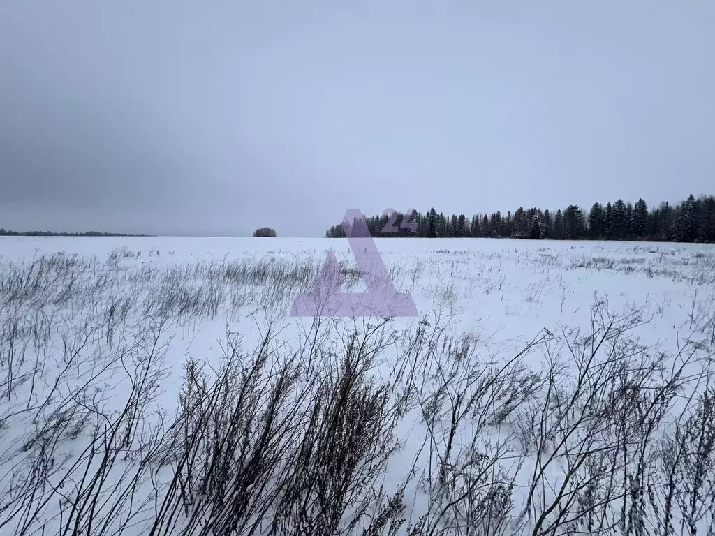 Участок в Пермский край, Пермский муниципальный округ, Придорожный ... - Фото 1