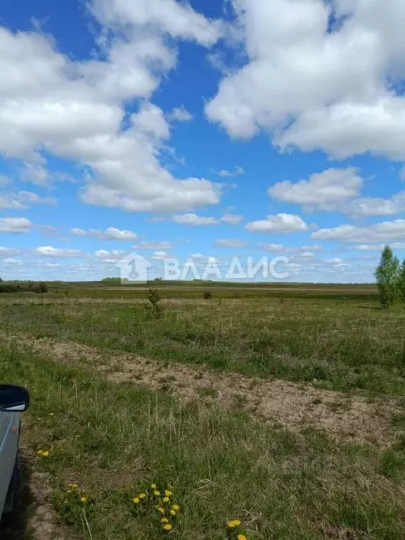 Участок в Владимирская область, Ковровский район, Малыгинское с/пос, ... - Фото 0