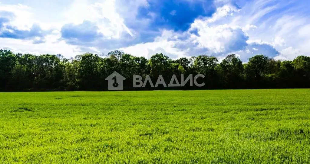 Участок в Нижегородская область, Чкаловск муниципальный округ, д. ... - Фото 1