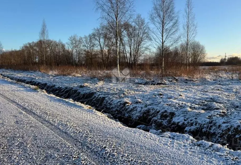 Участок в Ленинградская область, Всеволожск Всевлэнд ИЖС,  (8.6 сот.) - Фото 1