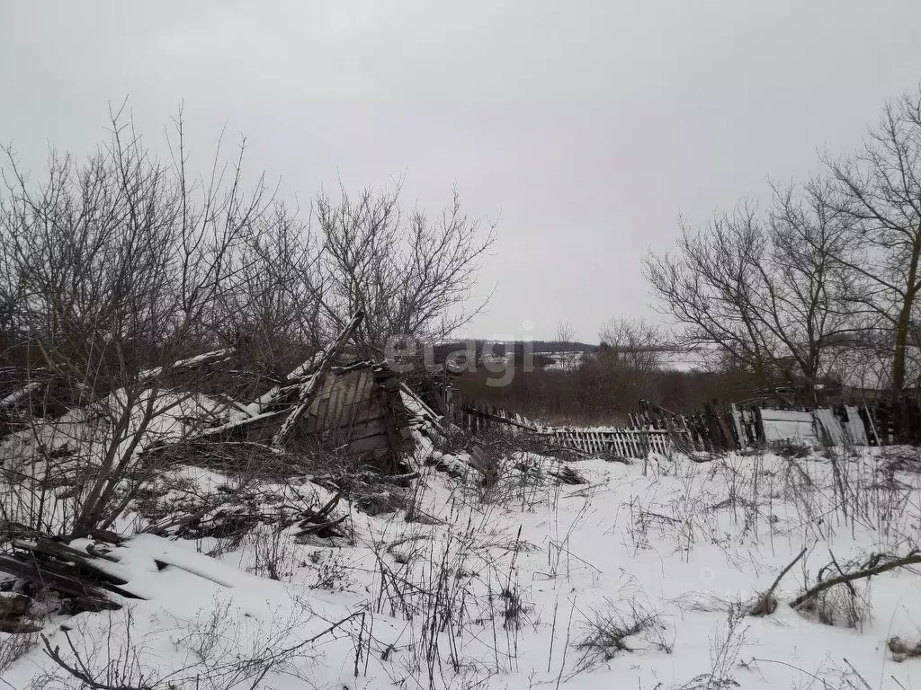 Участок в Белгородская область, Алексеевский городской округ, с. ... - Фото 1