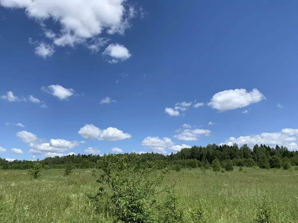 Участок в Московская область, Сергиево-Посадский городской округ, д. ... - Фото 0