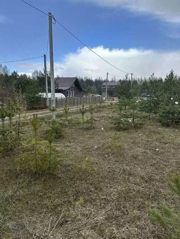 Участок в Кировская область, Слободской муниципальный район, Бобинское ... - Фото 2